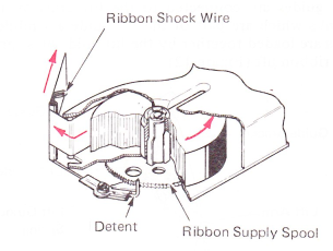 SMsr10